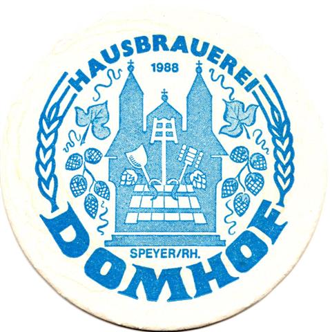 speyer sp-rp domhof rund 1-2a (215-domumriss-blau)